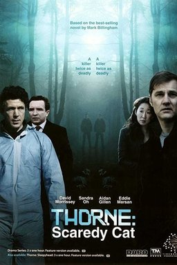 Poster for Thorne: Scaredycat (2010)