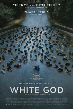 Poster for White God (2014)