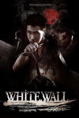 Poster for White Wall (2010)