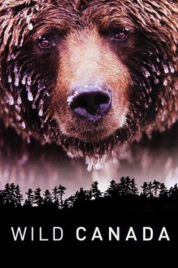 Poster for Wild Canada - Season 1