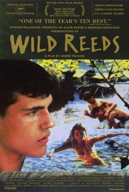Poster for Wild Reeds (1994)