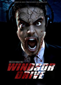 Poster for Windsor Drive (2015)