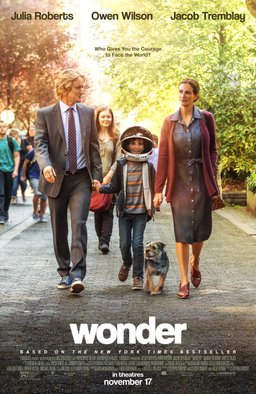 Poster for Wonder (2017)