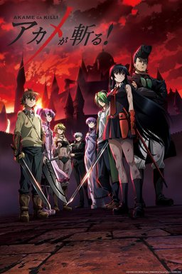 Poster for Akame ga Kill! - Season 1