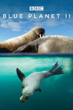 Poster for Blue Planet II - Season 1