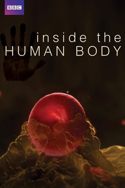 Poster for Inside the Human Body - Season 1