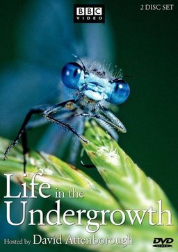 Poster for Life in the Undergrowth - Season 1