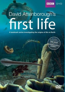 Poster for First Life - Season 1