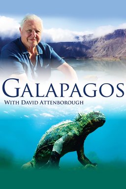 Poster for Galapagos 3D - Season 1