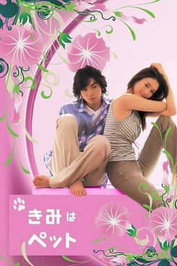 Poster for Kimi wa petto - Season 1
