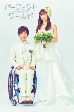 Poster for Perfect World - Season 1