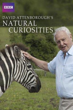 Poster for Natural Curiosities - Extras (Complete Series)