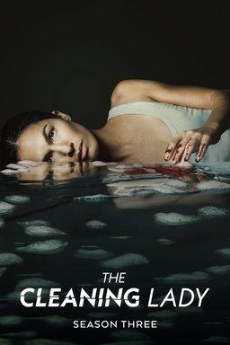 Poster for The Cleaning Lady - Season 3