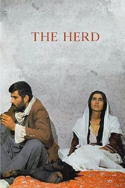 Poster for The Herd (1978)