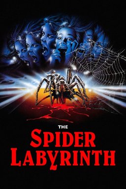 Poster for The Spider Labyrinth (1988)