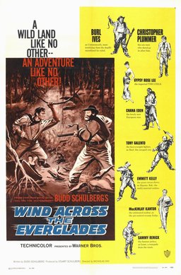 Poster for Wind Across the Everglades (1958)