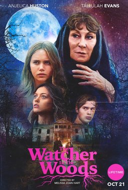 Poster for The Watcher in the Woods (2017)