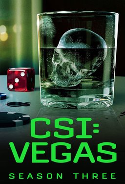Poster for CSI: Vegas - Season 3