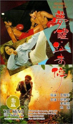 Poster for Dreaming the Reality (1991)