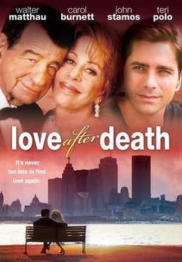 Poster for The Marriage Fool (1998)