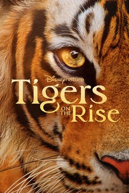 Poster for Tigers on the Rise (2024)
