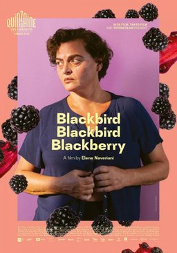 Poster for Blackbird Blackbird Blackberry (2023)