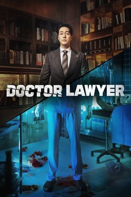 Poster for Doctor Lawyer - Season 1
