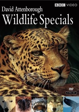 Poster for Wildlife Specials - Extras (Complete Series)