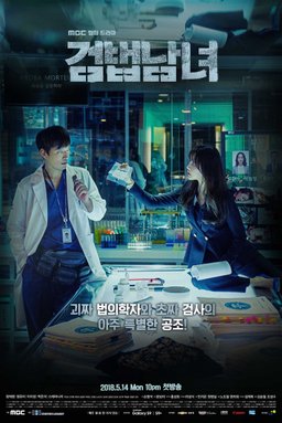 Poster for Partners for Justice (Investigation Partners) - Season 2