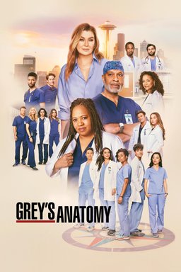 Poster for Grey's Anatomy - Season 21