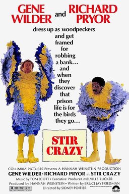 Poster for Stir Crazy (1980)