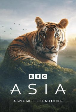 Poster for Asia - Season 1