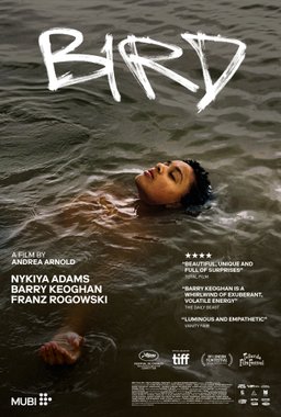 Poster for Bird (2024)