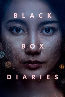 Poster for Black Box Diaries (2024)
