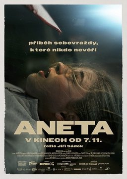 Poster for Aneta (2024)