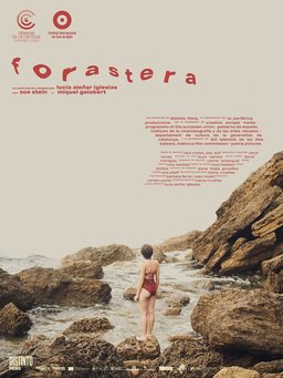 Poster for Foreigner (2020)