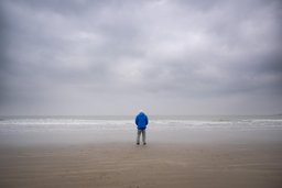 Poster for Ocean with David Attenborough (2025)