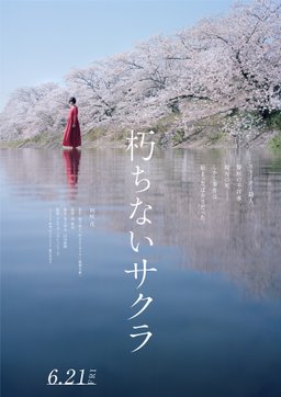 Poster for Sakura (2024)