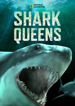Poster for Shark Queens (2022)