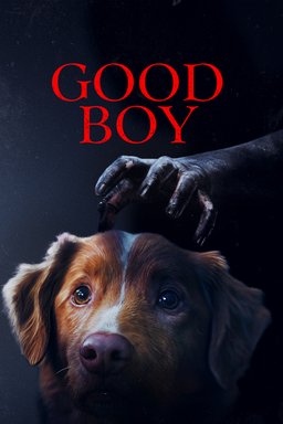 Poster for Good Boy (2025)