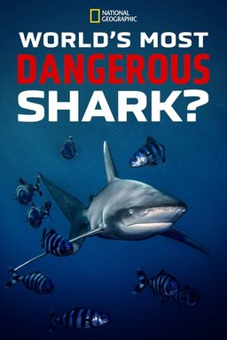 Poster for World's Most Dangerous Shark? (2021)