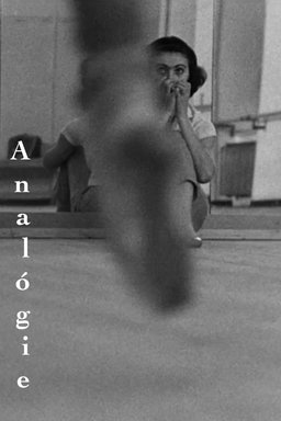 Poster for Analógie (1966)