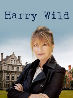 Poster for Harry Wild - Season 3
