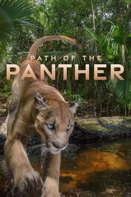 Poster for Path of the Panther (2022)
