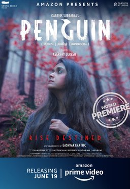 Poster for Penguin (2020)