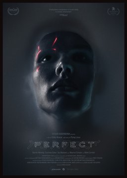 Poster for Perfect (2018)