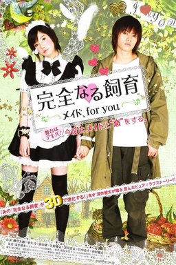 Poster for Perfect Education: Maid, for You (2010)