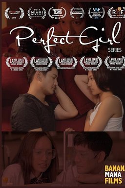 Poster for Perfect Girl (2014)