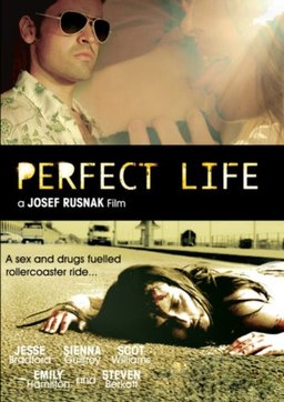 Poster for Perfect Life (2010)