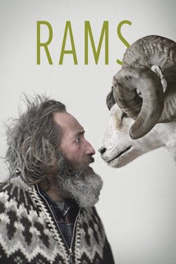 Poster for Rams (2015)